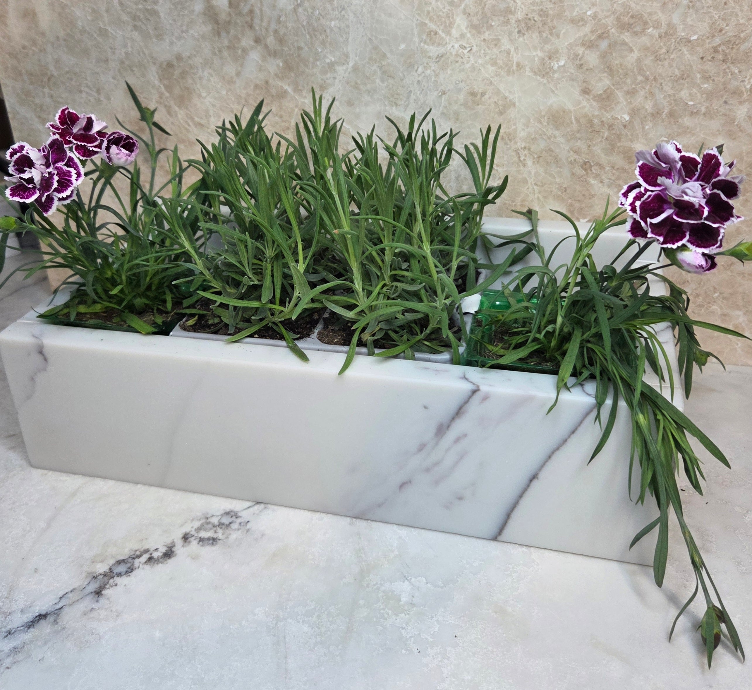 Luxury quartz display planter