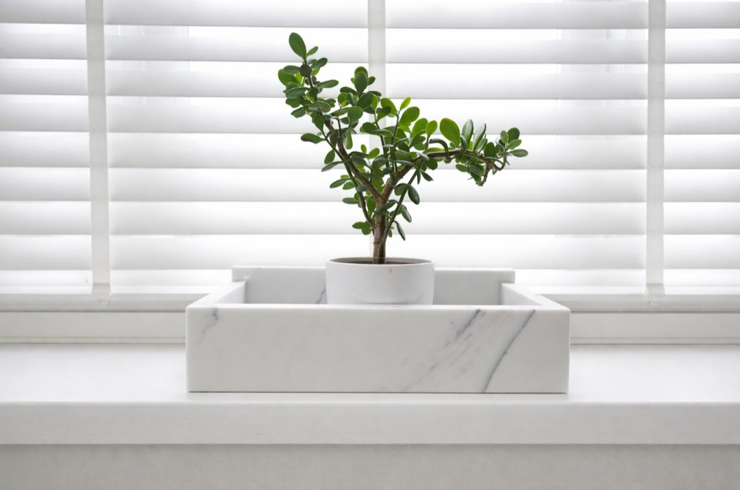 Luxury quartz display planter