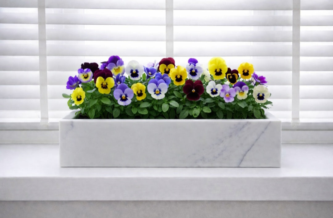 Luxury quartz display planter
